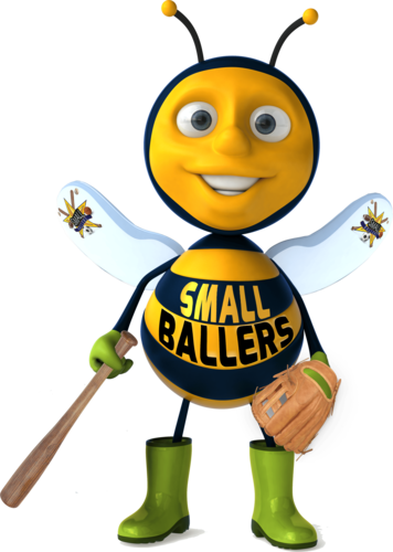 Small Ballers